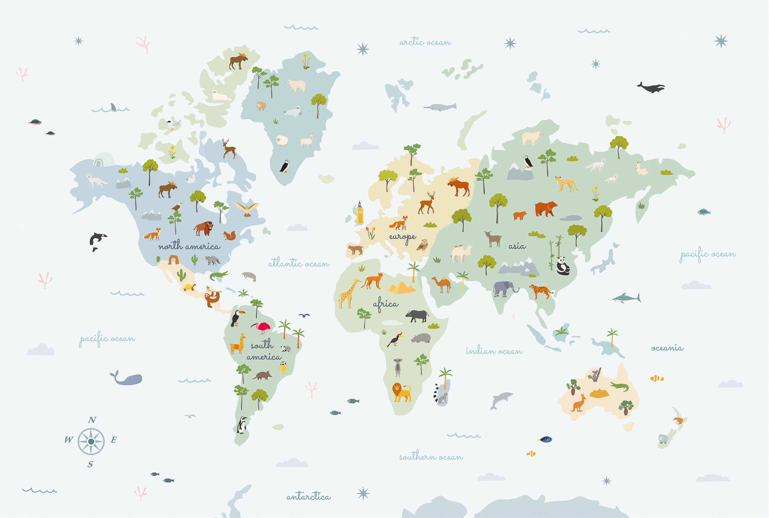 Animal Map, Prisma, Coordonne